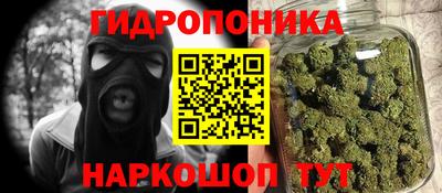 дурь Гусев