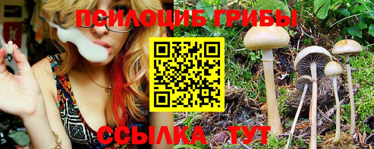 Псилоцибиновые грибы мухоморы Лабытнанги