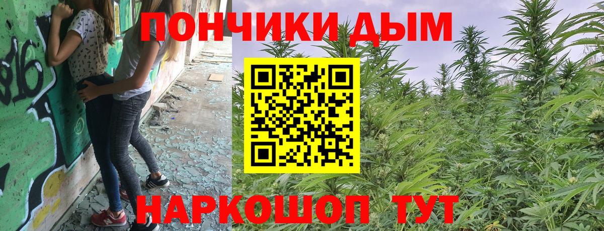 Бошки Шишки конопля  МАРИХУАНА SATIVA & INDICA  Канабис OG Kush  Вход с VPN  Лабытнанги 